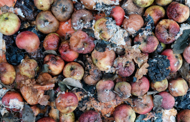 food wastage