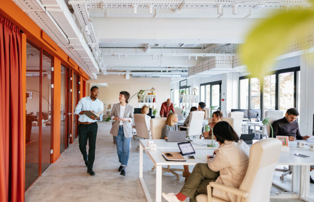 Employees in a Startup